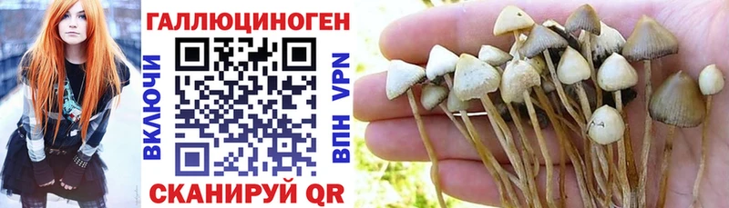 Псилоцибиновые грибы Cubensis  Купить закладки  Норильск 